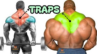 TRAPS WORKOUT 8 best exercises with dumbbells barbell cable only at home or gym [upl. by Olgnaed]