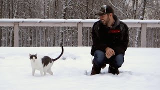 Cats In The Snow  Living in Alaska 93 [upl. by Clawson]