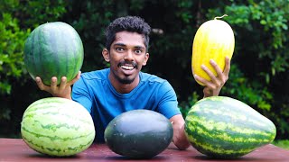 തണ്ണിമത്തൻ വാങ്ങുന്നതിന് മുമ്പ് ഇതൊന്ന് കാണൂ🙄🍉 5 TYPES OF DIFFERENT WATERMELON  MUST WATCH [upl. by Yadsnil]