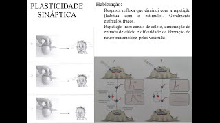 NEUROPLASTICIDADE [upl. by Paulo]