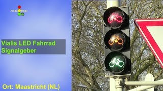 Vialis LED Fahrrad Signalgeber [upl. by Quintin]