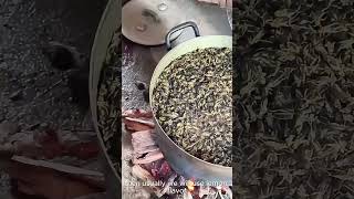 How to Prevent Crickets from Escaping cricket farm shorts cricketfarm insects beekeeper [upl. by Orozco]