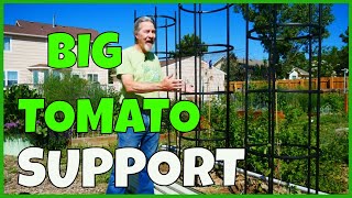 How to Use Tomato Cages [upl. by Irita]