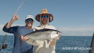 Aquila 47 Molokai Power Catamaran  Alexander Marine [upl. by Hassett]