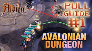 Mob Pulls 1  Avalonian Dungeon Guide Series [upl. by Annaek]