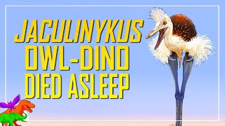 Newly Discovered SingleClawed Owl Dinosaur Died Sleeping [upl. by Ellivro373]