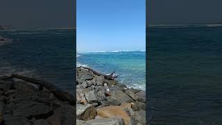 Beach at the Condado San Juan Puerto Rico Oct 2024 [upl. by Pogah]