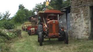 Trebbiatura threshing con trebbia AMA e OM 50 R [upl. by Osner]