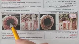 labsorption intestinale 3AC الامتصاص المعوي [upl. by Enirual]