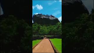 Sigiriya Views 🍃sigiriyarock naturallife viralvideo naturelover [upl. by Bendicty]