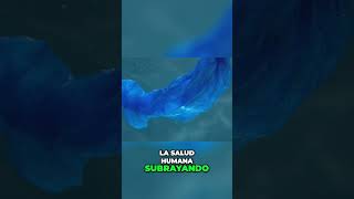 ¡Salvemos el Planeta Soluciones Innovadoras Contra la Contaminación Plástica [upl. by Billy]