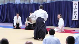 AIKIDO FOUNDATION  KOBAYASHI RYU quotSummer Camp 2018 with Gembal Shihanquot [upl. by Onivag38]