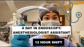 A day as an Anesthesiologist Assistant in EndoscopyGI [upl. by Sinclair]