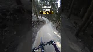 Best Flow Trail Dolnì Morava bikepark czech downhill endurotrails mtb ebike bike mountains [upl. by Nauqyaj]