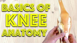 Anatomy of the Knee Joint  Basic Clinical Anatomy Revision  Dr Gill [upl. by Sinnel43]