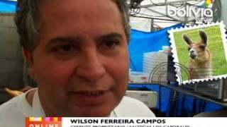 Wilson Ferreira  Salteñas Los Caporales [upl. by Friedly]