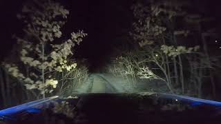 Night drive on Hartwick Pines pipeline trail [upl. by Coussoule632]