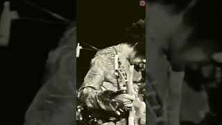 The Jimi Hendrix Experience Rock Legend Unplugged legend shorts rock live music classicrock [upl. by Atsira16]