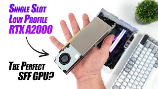 Single Slot Low Profile RTX A2000 The Perfect Small Foot Print GPU [upl. by Nael599]