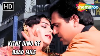 Kitne Dino Ke Baad Mile  Andolan 1995  Mamta Kulkarni Govinda  Alka Yagnik Hits [upl. by Avrenim]