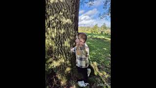 Barnaby Bear amp Bowie at Pinetum gardens [upl. by Buckden]