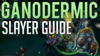 Consistent GP  Ganodermic Beast slayer guide  Runescape 3 [upl. by Suzette]