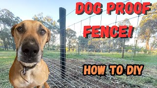 Build a Dog Proof Fence A Quality Dog Fence Step By Step [upl. by Franck]