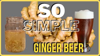 I had no idea how easy this was  How to make Ginger Beer on the PotauBrew [upl. by Aihsot]