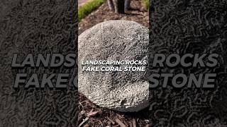 🌊Enhance your yard with realistic coral stone rocks ideasdesign stonedesigns outdoorsdesign [upl. by Baniaz406]