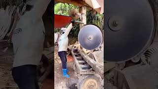 Wood cutting process with a circular tooth saw [upl. by Ainatit339]