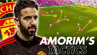 Ruben Amorims 343 MASTERPLAN at Man United EXPLAINED [upl. by Ayin842]