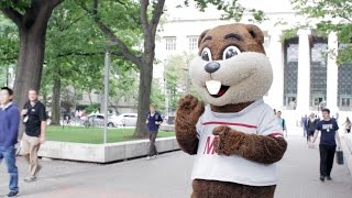 TIM the Beaver MITs mascot since 1914 [upl. by Martie951]