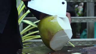 Top Amazing Coconut Cutting Skills eps09 [upl. by Akir552]