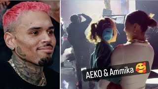 Chris Brown Wave To Aeko amp Ammika During Show “Wow Cute” [upl. by Llieno]