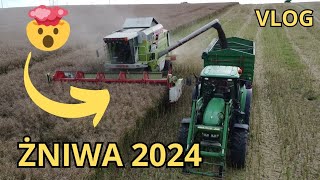 Pierwszy wjazd w rzepak 2024 class mega 218 w akcji John Deere 6930 Żniwa  vlog [upl. by Robby]