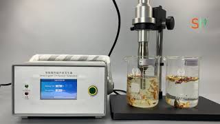 Ultrasonic sonicator for extraction [upl. by Almena]