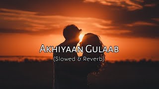 AKHIYAAN GULAAB Slowed amp Reverb  Mitraz  Teri Baaton Mein Aisa Uljha Jiya  CWM [upl. by Ahsinaj]