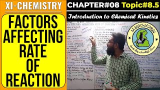 85 Factors Affecting Rate of Reaction  CH8  Chemical Kinetics  Sindh Board [upl. by Vadim]