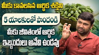 Cardamom Powerful Remedy  Money Remedies in Telugu  Benefits Of Yalakulu  Law of Attraction [upl. by Aylmar]