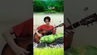 Graze The Roof  Plant Vs Zombie  Guitar Fingerstyle cover guitarcover fingerstyleguitarist [upl. by Jeddy]