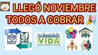 LLEGO NOVIEMBRE 🎉🎉 Y TODOS A COBRAR PENSIONADOS ISSSTE E IMSS Y PENSION BIENESTAR [upl. by Pradeep]