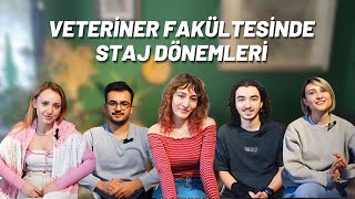 Veteriner Fakültesinde Staj Dönemleri [upl. by Yattirb]