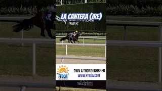 La Cantera IRE easily scores in race 1 under Tyler Gaffalione GulfstreamPark [upl. by Vargas157]