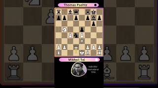 Mikhail Tal  Best Games Ever 29 👌 [upl. by Gittle457]