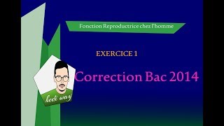 EXERCICE 1  Correction Bac 2014  Reproduction chez lhomme  Bac Tunisie [upl. by Ayotahc874]