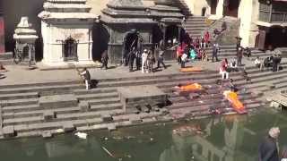 Pashupatinath Temple  Kathmandu Nepal [upl. by Dilan]