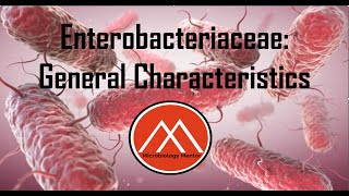 Enterobacteriaceae Enterobacterales GRAMNEGATIVE ENTERIC BACILLI ecoli bacteriology biology [upl. by Mair]