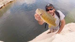 Lake Powell Shore Fishing Techniques [upl. by Pasol]