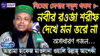 নতুন গজল  নবীর রওজা শরীফ দেখে মন ভরে না  অলি উল্লাহ আশেকী  Music Plus Waz [upl. by Boswell]