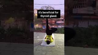 Benefits of sarvangasanashorts reels yoga youtubeshorts sarvangasana healthtipswellness fit [upl. by Laney]